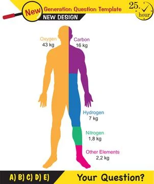 Basic components of living things Stock Illustration