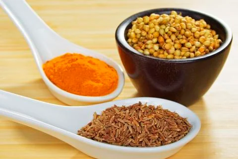 Basic curry spices Stock Photos
