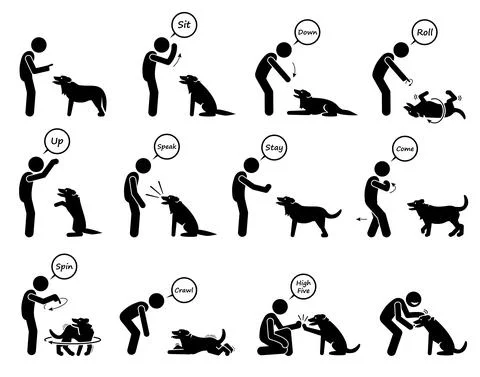 Basic dog commands and behavioral training icons set. Vector illustrations of Illustrazione stock