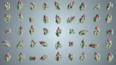 Basic Dynamic Protein Molecule Looped 4K Video stock 348514620