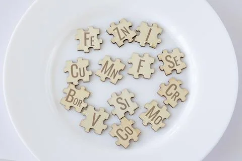 Basic essential micronutrients for humans written on wooden puzzles lying on a Stock Photos