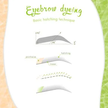 Basic eyebrow coloring technique Stock Illustration