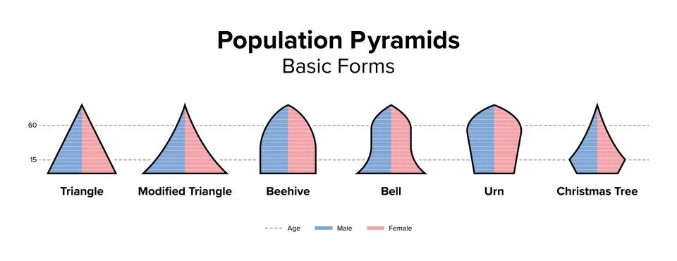 Basic forms of population pyramids Stock Illustration