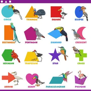 Basic geometric shapes with comic birds characters set Educational cartoon... Stock Photos