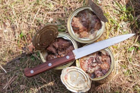 Basic hike food. Beef stew Foto stock