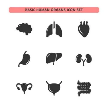 Basic human organs icon set Stock Illustration