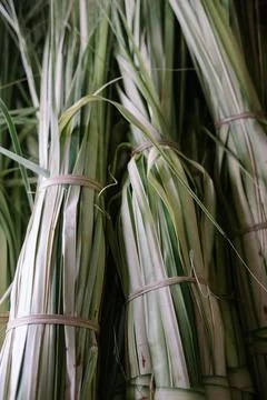 The basic ingredient for ketupat is young coconut leaves which are split in.. Stock Photos