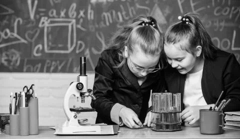 Basic knowledge of chemistry. Pupils cute girls use test tubes with liquids 스톡 사진