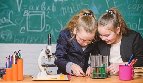 Basic knowledge of chemistry. Pupils cute girls use test tubes with liquids 写真素材