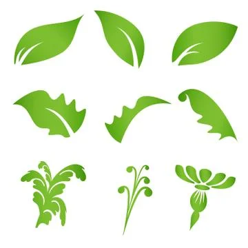 Basic leaf green floral vector isolated elements イラスト素材