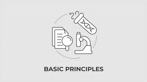 Basic principles animated line concept icon Stock Footage 345258451