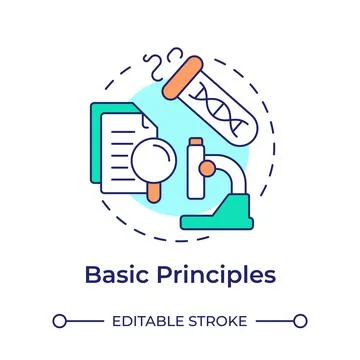 Basic principles multi color concept icon Stock Illustration