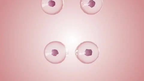 Basic Red Cells Division Blue 4K Video stock 348514852