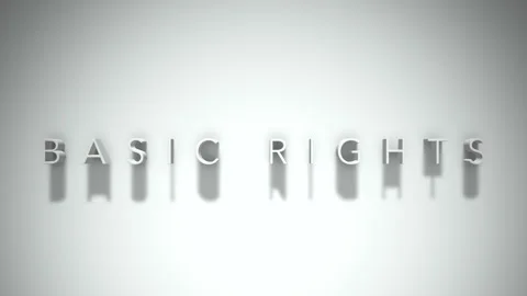 Basic rights 3D title animation with shadows on a white background Stock Footage 297816945
