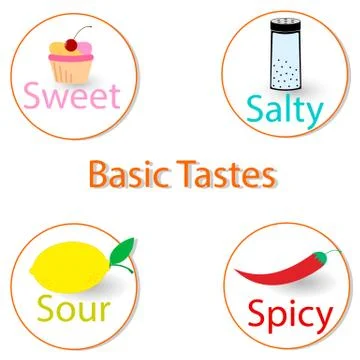Basic tastes. Vector illustration, infographics Stock Illustration