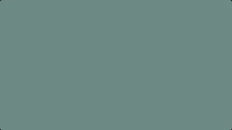 Basic vector animations pack of a cactus in a pot moving across the screen Stock Footage 162438478