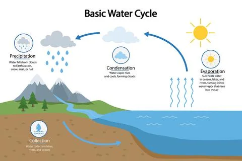 Basic water cycle infographic. Diagram with water cycle Stock Illustration