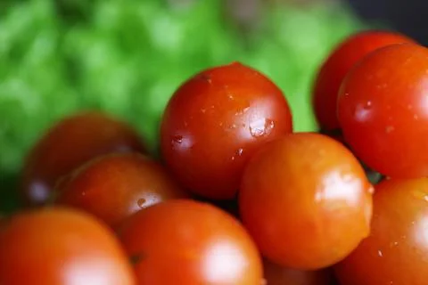 Basil and cherry tomatoes Stock Photos