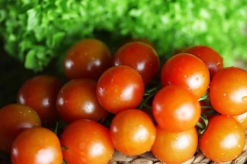 Basil and cherry tomatoes Stock Photos