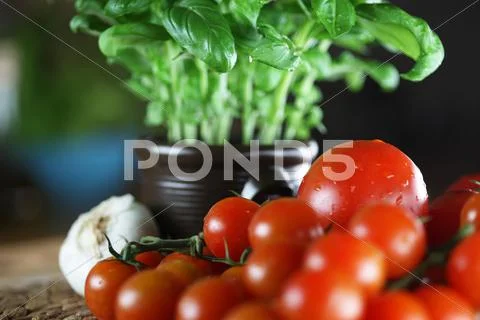 Basil And Cherry Tomatoes