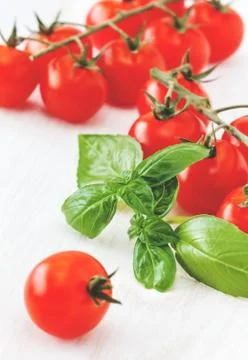 Basil and cherry tomatoes Stock Photos