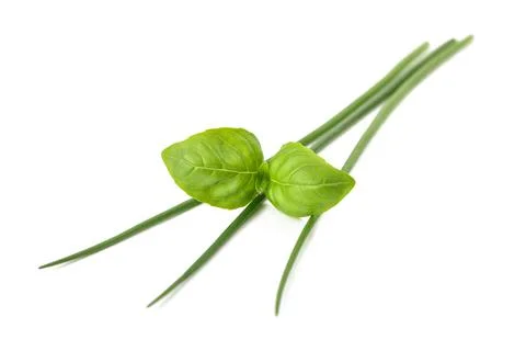Basil and chives Stock Photos