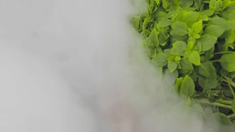 Basil and pepper on a gray background, intro transition to smoke. Stock-Footage 125653704