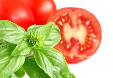 Basil and tomato with white background. Stock Photos