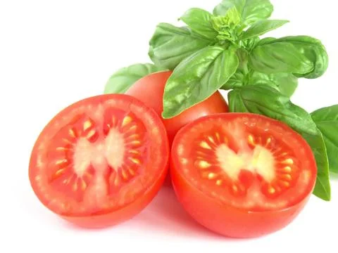 Basil and tomato with white background. Stock Photos
