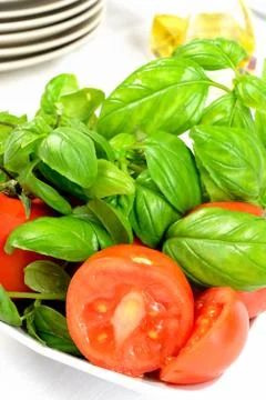 Basil and tomatoes Stock Photos
