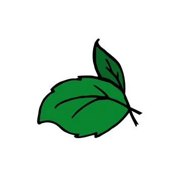 Basil branch for restaurant menus Vector  hand drawn Stock Illustration