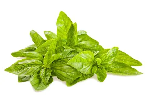 Basil bunch Stock Photos