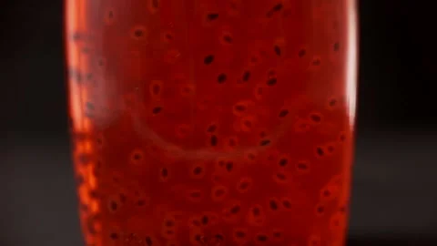 Basil cordial strawberry Stockbeeldmateriaal 132290833