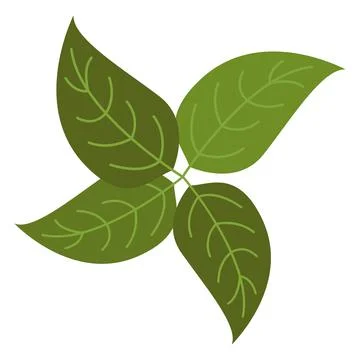 Basil flat clipart vector illustration Illustrazione stock