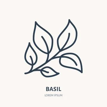 Basil flat line icon. Medicinal plant leaves vector illustration. Thin sign for Illustrazione stock
