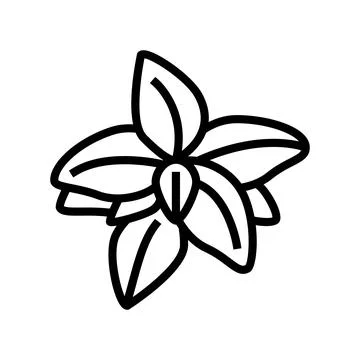 Basil flavor line icon vector illustration Stock Illustration