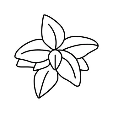 Basil flavor line icon vector illustration Stock Illustration