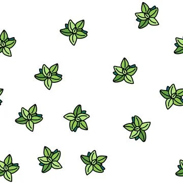 Basil flavor vector seamless pattern 스톡 일러스트
