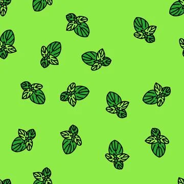 Basil food herb vector seamless pattern Stock Illustration