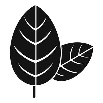 Basil food icon simple vector. Herb spice Stock Illustration