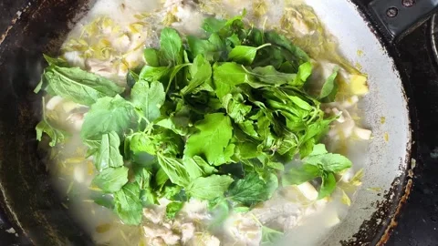 With basil Video stock 337101921