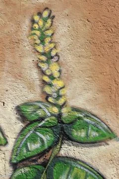 Basil, graffiti on Rome's wall Stock Photos