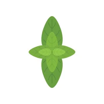 Basil herb icon flat vector. Spice leaf Illustrazione stock