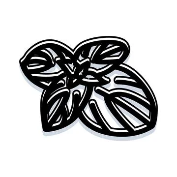 Basil herb leaves outlining fresh food ingredient Stock Illustration