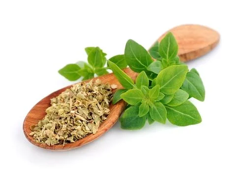 Basil herbs Foto stock