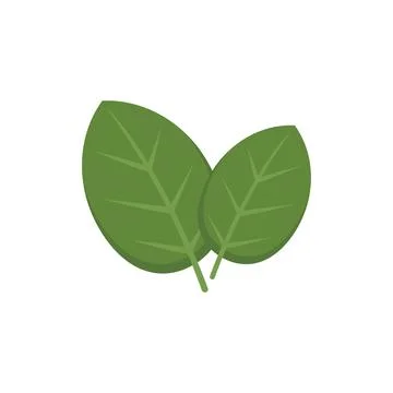 Basil icon flat vector. Herb leaf Illustrazione stock