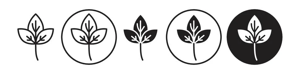 Basil icon vector set collection for web Stock Illustration