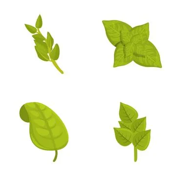 Basil icons set cartoon vector. Basil stem with green leaf Stock Illustration