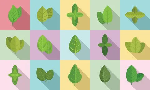 Basil icons set flat vector. Agriculture aroma leaf Stock Illustration