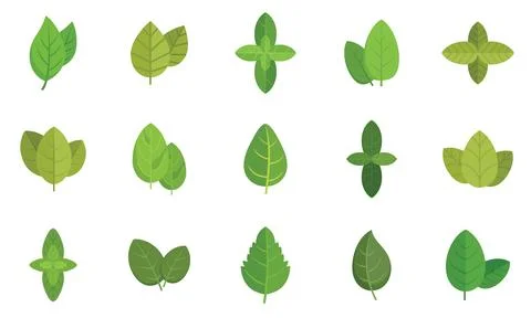 Basil icons set flat vector. Agriculture aroma leaf Illustrazione stock
